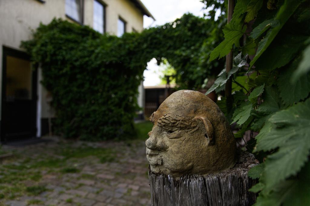 Pension Altstadt Borna Exterior foto